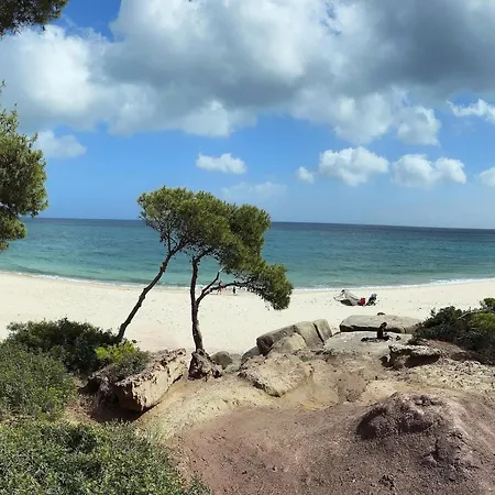 Ama Calaverde * Fort Village